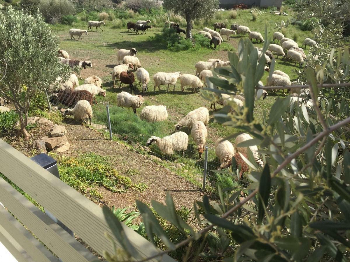 Serendipity Crete Дом отдыха Агиа Галини
